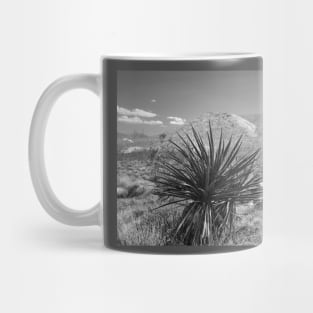 Desert Landscape Mug